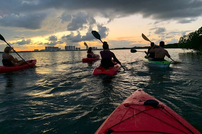 A Private Half-Day Kayaking Experience in Nichupté Lagoon  - Cancun - Customer Reviews