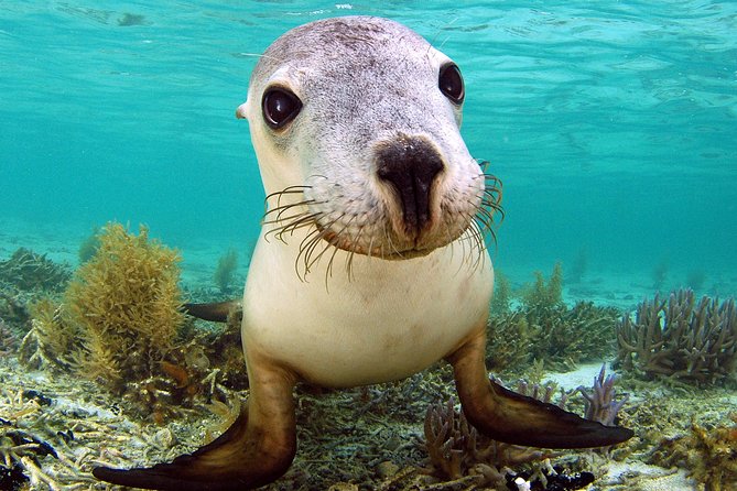 Abrolhos Islands 5 Day Cruise - Cabin Accommodation Options