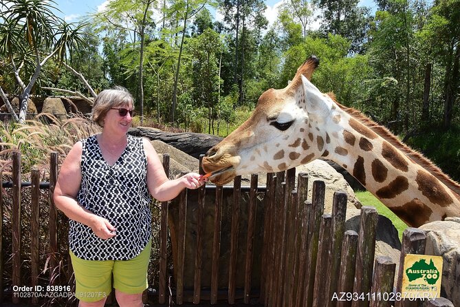 Australia Zoo Day Trip From Brisbane - Small-Group Tour Benefits