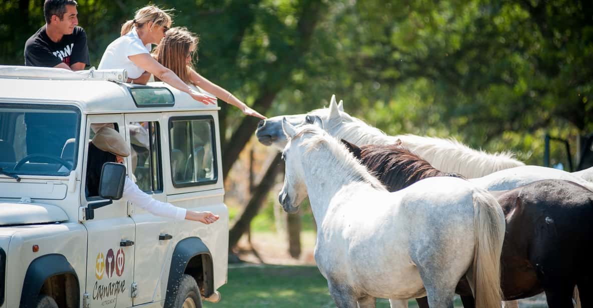 Camargue: Half-Day 4x4 Guided Safari Adventure - Language Options and Group Size