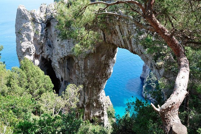 Capri Shared Tour - Without Pick up - Contact Information