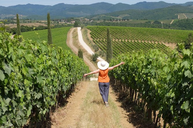 Chianti Half-Day Wine Tour in the Tuscan Hills Small Group From Lucca - Tour Experience and Guide Highlights