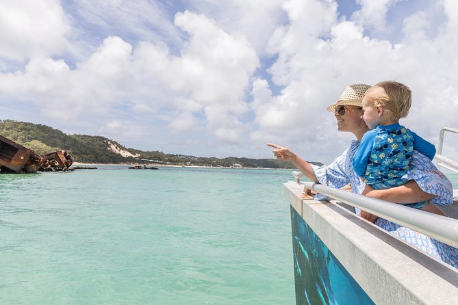 Dolphin Feeding Day Cruise to Tangalooma Island Resort on Moreton Island - Essential Tour Information