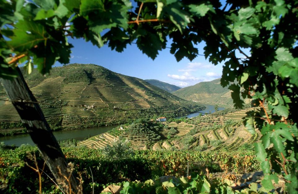 Douro Valley: Full-Day Private Tour From Porto - Inclusions and Reviews