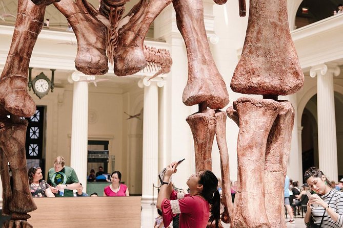 Field Museum of Natural History Admission Tickets - Price Guarantee and Options