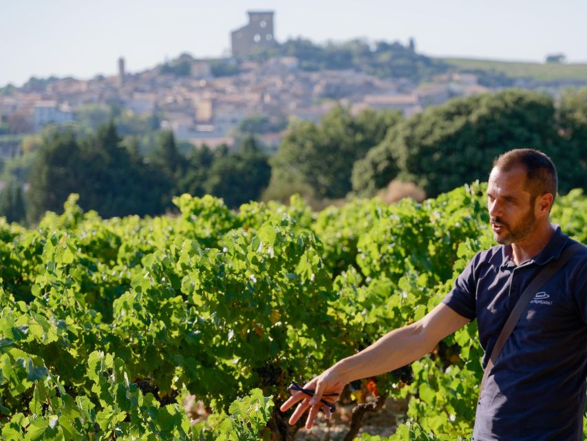 From Avignon: Luberon and Chateauneuf-du-Pape - Inclusions