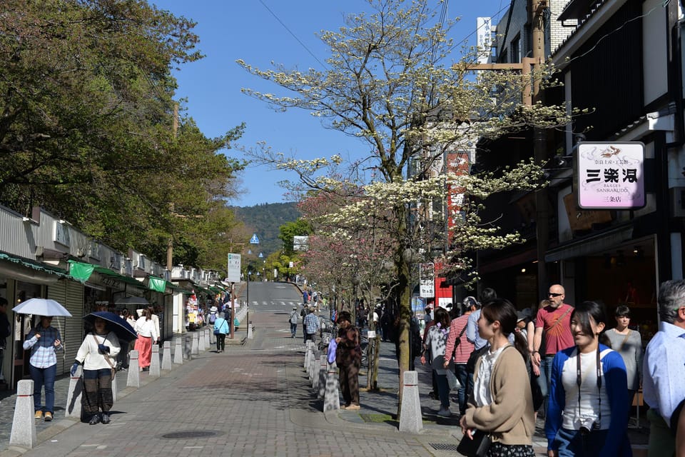 From Kyoto: Old Port Town and Ultimate Sake Tasting Tour - Activity Description