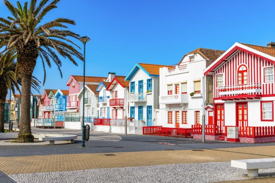 From Lisbon: Private Aveiro and Ilhavo Full Day Tour - Culinary Delights