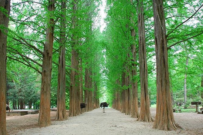 Full-Day Customizable Private Tour to Nami Island and Surrounding Area - Inclusions and Extras