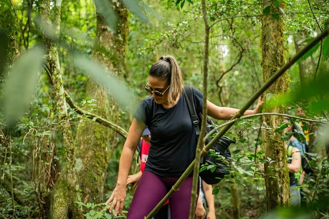 Full Day Hike Through Secret Waterfalls in Foz Do Iguaçu - Navigating the Trail Routes Safely