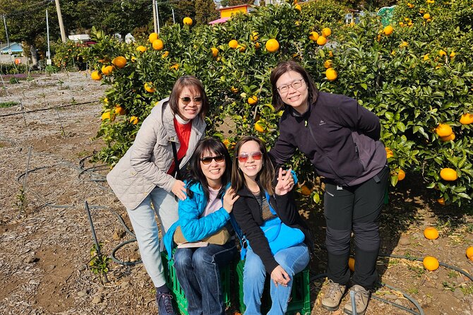 Full-Day Private Tour in Jeju Island - Accessibility and Health Concerns