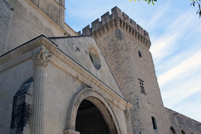 Full Day Tour Avignon & Châteauneuf Du Pape Wine Shore Excursion - Historical Insights and Local Secrets