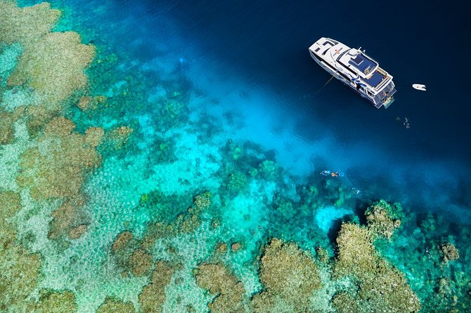 Great Barrier Reef Diving and Snorkeling Cruise From Cairns - Reef Locations and Experiences