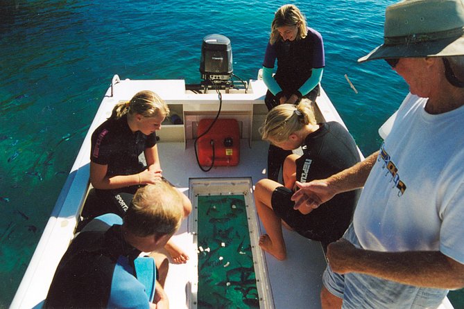 Great Barrier Reef Private Expedition Cruise (Min 4 Day Max 8 Guests) - Expert-Led Excursions and Activities