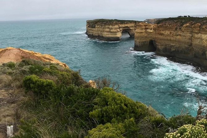 Great Ocean Road 12 Apostles Kangaroo & Koala Tour - Scenic Stops and Attractions