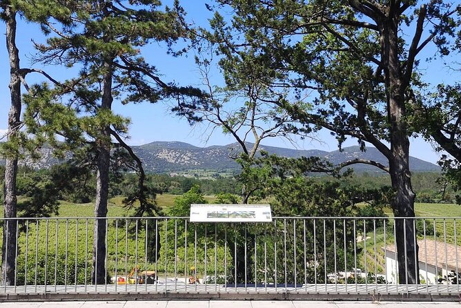 Guided Tour of a Winery in Vacquières With Wine Tasting - Cancellation Policy