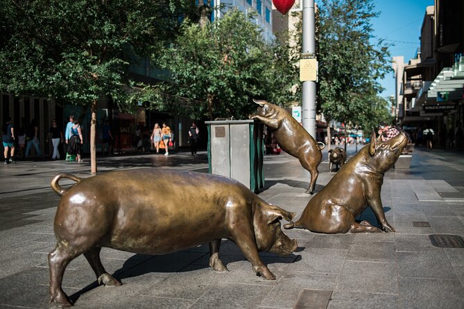 Guided Walking Tour in Adelaide - Exploring the Citys Hidden Gems