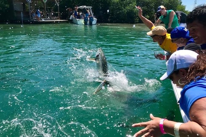 Hol Chan Marine Park and Shark Ray Alley Snorkeling - Positive and Negative Feedback