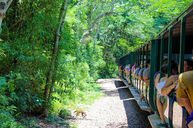 Iguazu Falls: Argentinian Side With Boat Ride, Jungle-Truck and Train - Cancellation Policy Information