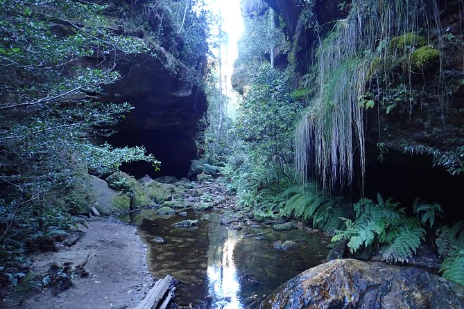 Juggler Canyon and Abseiling Adventure Blue Mountains - Whats Included in Tour