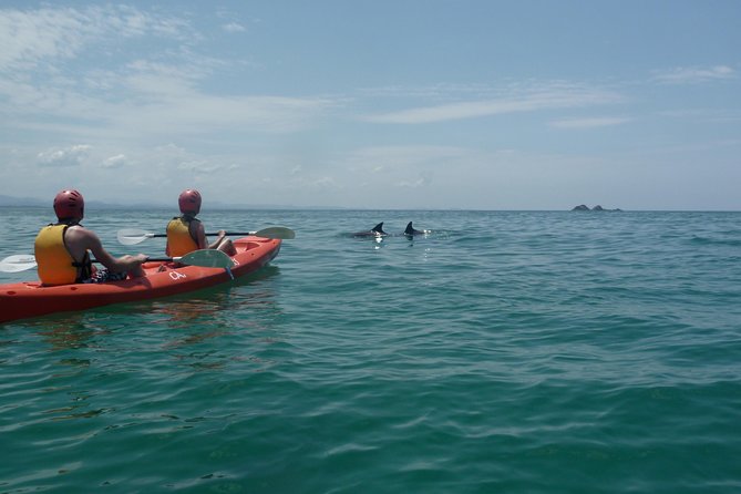 Kayaking With Dolphins in Byron Bay Guided Tour - What to Expect on Tour