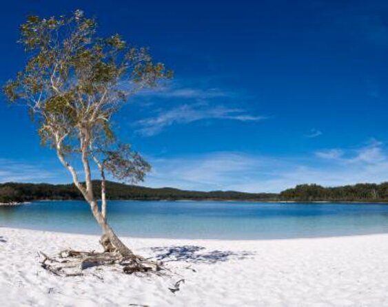 Kgari (Fraser Island) Explorer 2-Day Tour - Accommodation and Meals