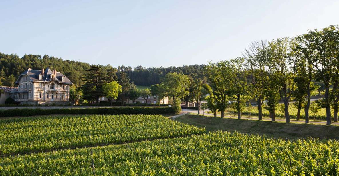 Languedoc: Tour and Tasting at Domaine De Baronarques - What to Expect on Tour