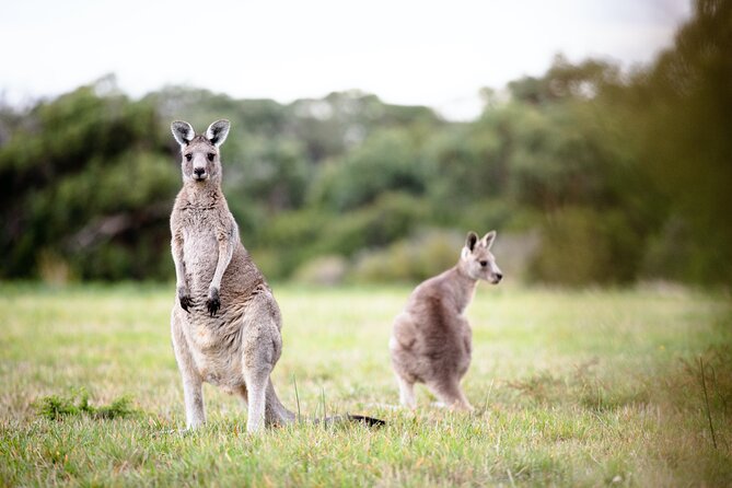 LGBTQ+ Friendly 3 Day Tour The Grampians, Daylesford & Ballarat - Ballarats Rich History Unveiled