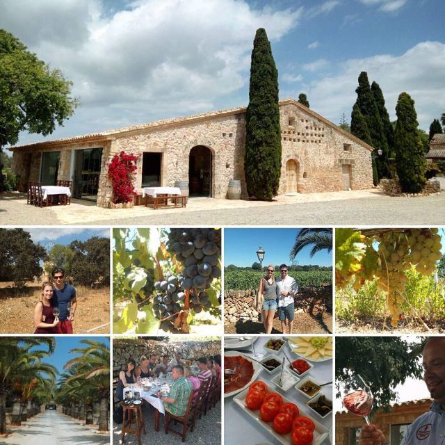 Mallorca: Private Wine Tour With Tasting and Picnic - Customer Reviews