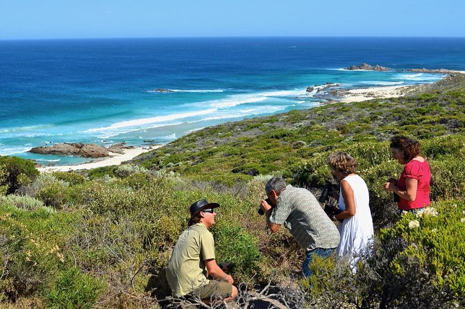 Margaret River Coastal and Wildlife Eco Trip From Busselton or Dunsborough - Exploring Leeuwin-Naturaliste National Park