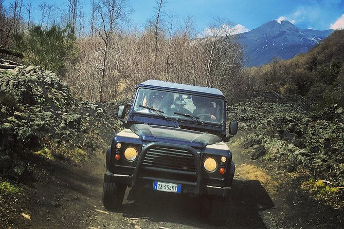 Mount Etna Half Day Jeep 4x4 Tour From Catania or Taormina - Traveler Reviews and Ratings