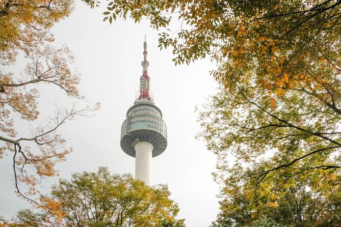 N Seoul Tower Observatory Ticket - Reviews and Ratings Overview