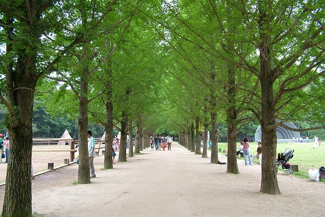 Nami Island With Garden of Morning Calm Trip - Cancellation and Refund Policy