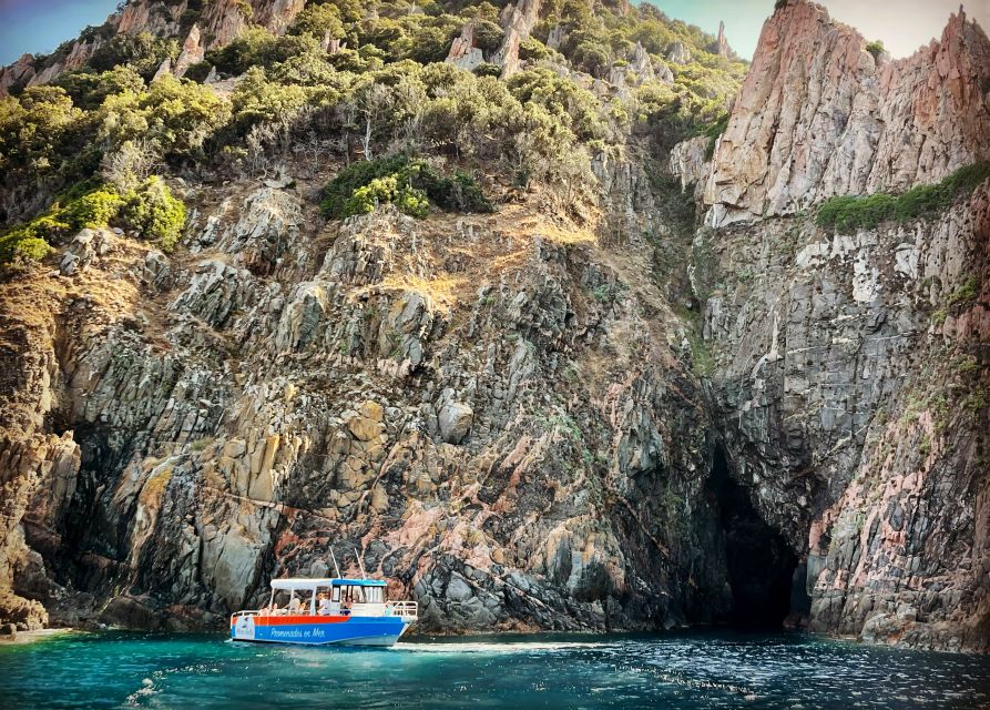 Near Ajaccio : Cruise to Piana Scandola Cliff Tasting Sunset - Meeting Point