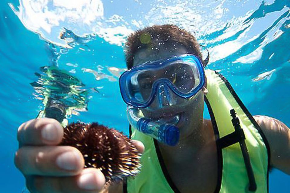 Oahu: Hilton Hawaiian Village Morning Snorkel With Lunch - Full Description