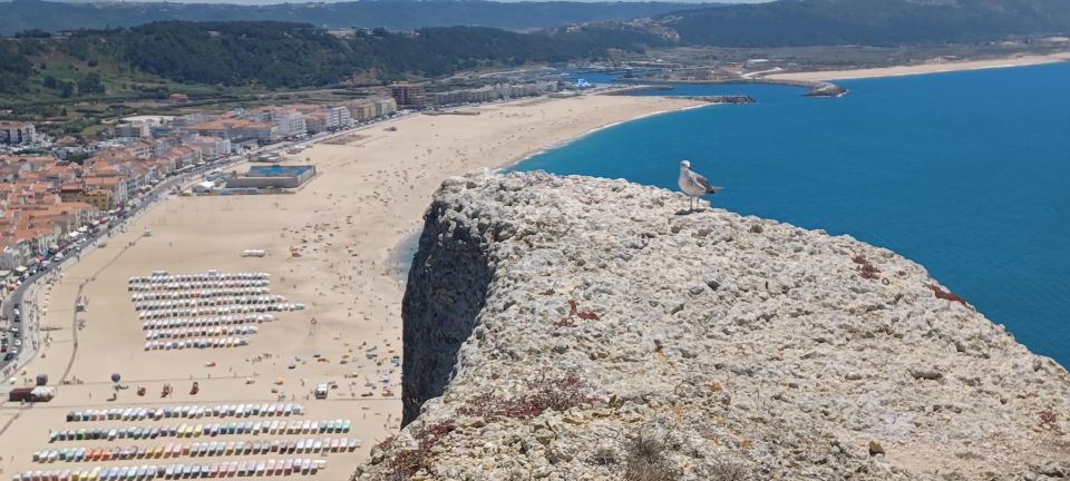 Óbidos Nazaré & Mafra National Palace Private From Lisbon - Itinerary