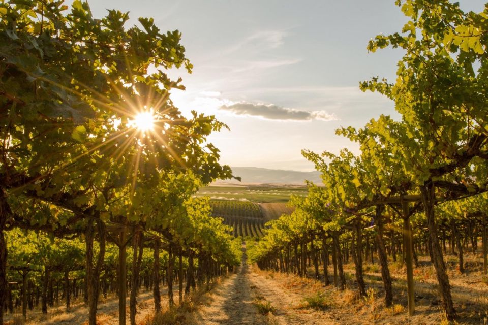 Penticton: Naramata Bench Full Day Guided Wine Tour - Inclusions