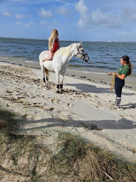 Photo Session With Horses on the Beach or in the Countryside - Experience Highlights