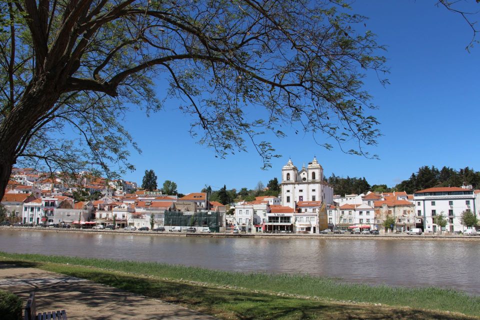 Private Tour to Alcácer, Comporta, Setúbal and Palmela - Inclusions