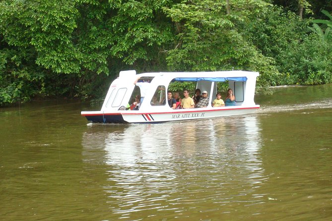 Puerto Limon Highlights 6 in 1 Combo Tour. Shore Excursion From Limon - Tour Highlights - Rainforest Location