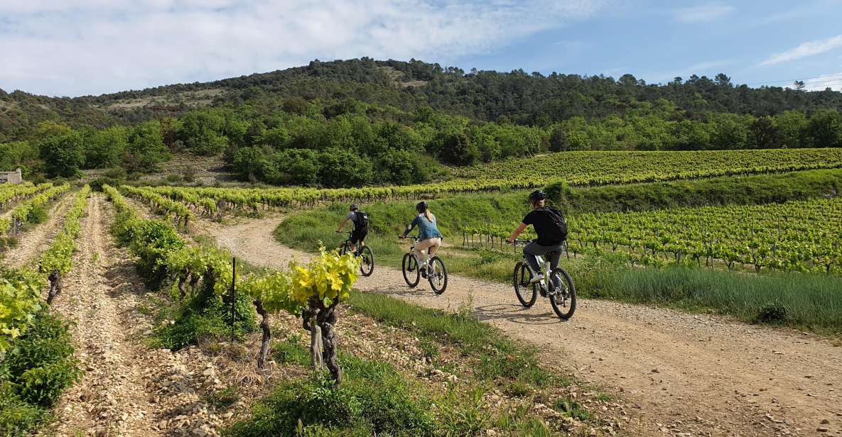 Saint-Martin-d'Ardèche: Electric Bike Wine Tour & Tasting - What to Expect