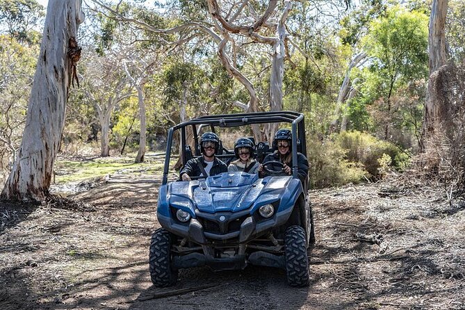 Small-Group Buggy Tour at Little Sahara With Guide - What to Expect on the Tour