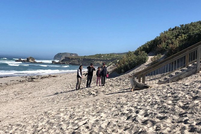 Small Group Kangaroo Island Tour - Seal Bay - Native Wildlife and Habitats