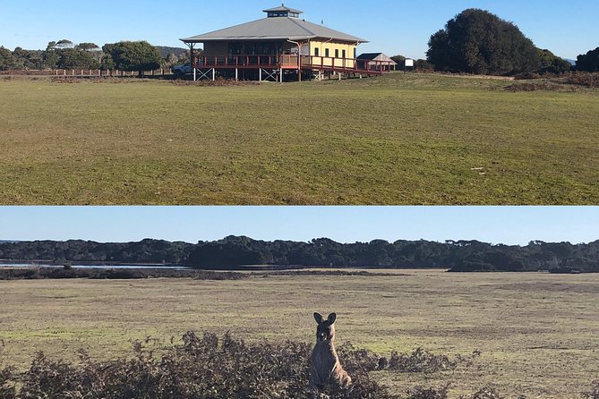 Spend a Day in One of Tasmanias Best Wildlife National Parks - Planning Your Day Trip