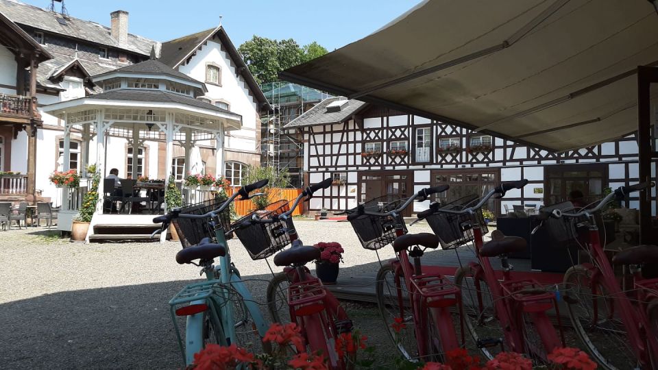 Strasbourg: 1-Day Bike Rental - Whats Included in the Rental