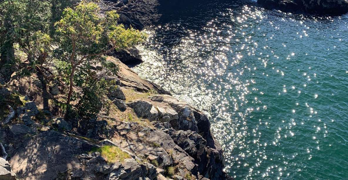 Vancouver: Lighthouse Park Hike - Group Size and Guide