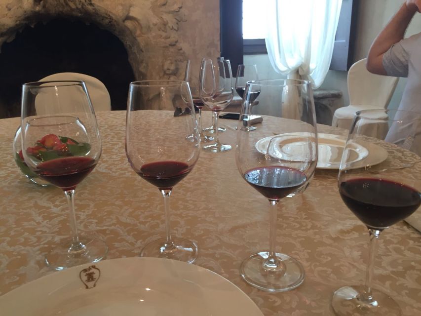 Verona: Amarone Wine Tour With Gourmet Lunch in Roman Villa - Tour Itinerary