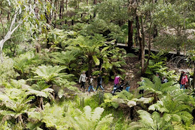 Walk With Wildlife: Guided Tour in Great Ocean Road - The Conservation Ecology Centre