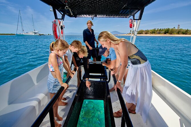 Wavedancer Low Isles Great Barrier Reef Sailing Cruise - Snorkeling and Marine Life