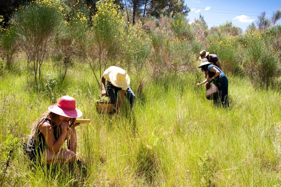 Wild Experience: Discover, Cook & Eat the Local Wild Flora - Booking Information